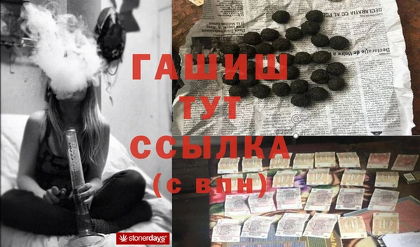 стафф Алексин