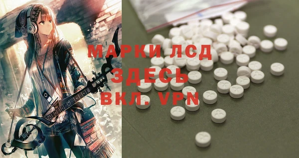 стафф Алексин